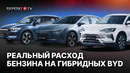 Самый экономичный BYD | Насколько экономичны гибридные модели BYD в Узбекистане | Song | Chazor
