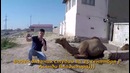 Очередной видео дневник за 25 сентября ) Вовчику сегодня годик