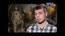 Osnovnoy element Kak mi vidim zvet