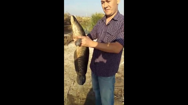 Радость рыбака