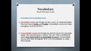 IELTS Vocabulary Part 2