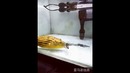 Рыба Терминатор – Фахака