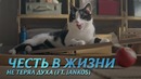 Не терял духа – Честь в жизни | League of Legends