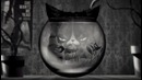 CAZZETTE – She Wants Me Dead (CAZZETTE vs. AronChupa) ft. The High