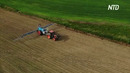 Премию памяти Нобеля по экономике получат двое американских учёных