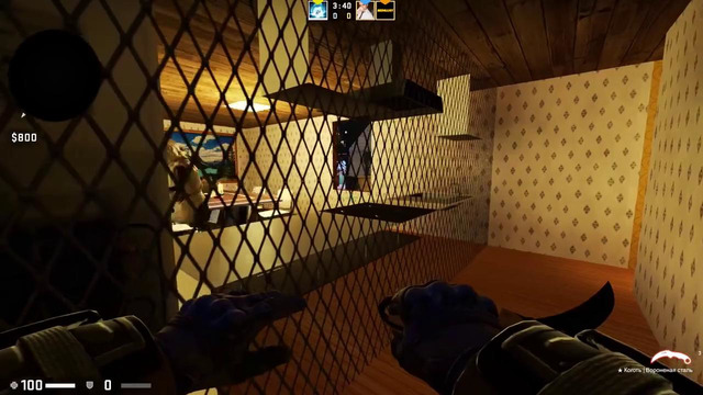 Затроллить 2 снеговиков маньяков в cs:go? легко