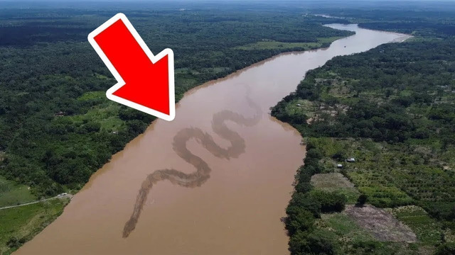 Почему На Амазонке Нет Мостов