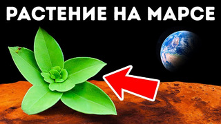 Что нужно, чтобы сделать Марс похожим на Землю