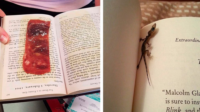 Самые странные вещи, найденные в старых книгах