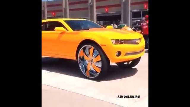 4 434478543772938385