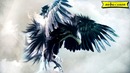 Семь легенд – Славянская мифология – Птица Могол