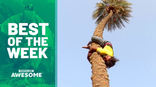 Best of the Week | 2019 Ep. 43 | People Are Awesome