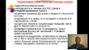 Анестезиология и реаниматология. Биохимия крови