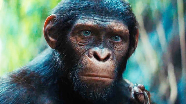 Планета обезьян: Новое царство — Дублированный русский трейлер (2024)
