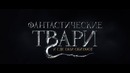 Фантастические звери и места их обитания – Дублированный Тизер-Трейлер (2016)