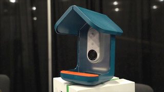 От кормушек для птиц до мусорных вёдер: какие устройства с искусственным интеллектом показали на CES