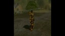 Aurum set