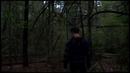 Мраморные Шершни(Запись №38)