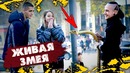 Фокусник кинул змею на людей. самые смешные фокусы. пранк
