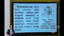11 sinf. Hayvonlarning hazm qilish organlari evolutsiyasi