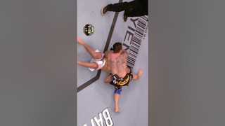 Our Top 3 FAVORITE Kimura Submissions