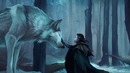 Peter Crowley – The Forest of Wolves | Epic Celtic Adventure