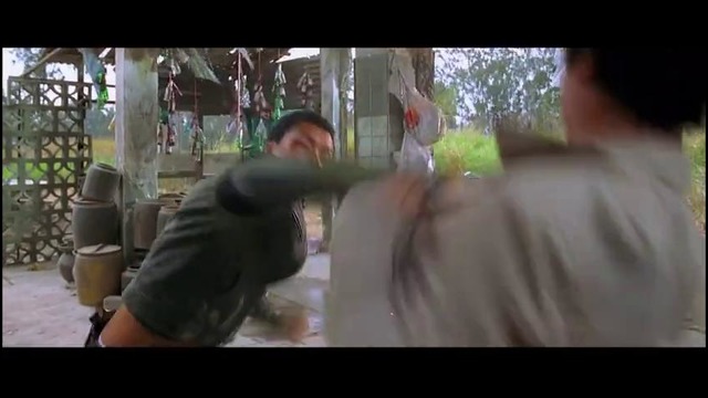 Donnie Yen vs Colin Chou