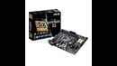 Asus h110m-k d3