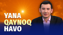 Yana issiq — hafta o‘rtasidan havo harorati ko‘tariladi