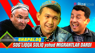Shapaloq – Sog’liqqa soliq yohud migrantlar dardi (hajviy ko’rsatuv)