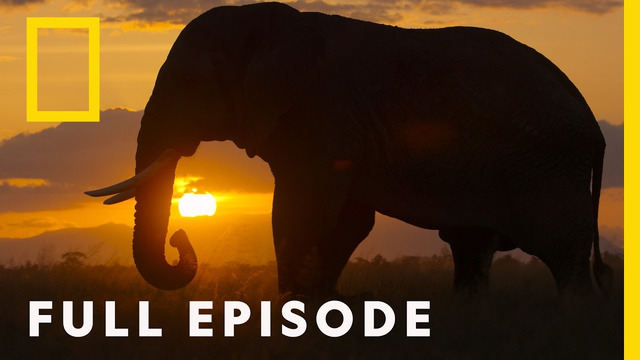 The Future of Africa (Full Episode) | Africa Earth’s Wild Home | National Geographic