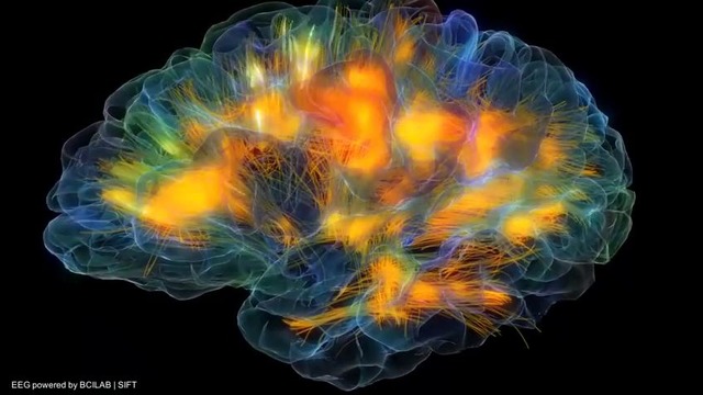 Как работает мозг? Видемодель