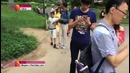 Pokemon GO – Опасность