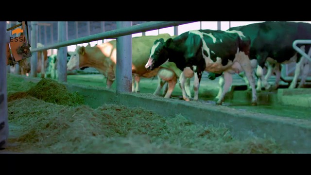 Один день из жизни «ESSI»