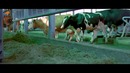 Один день из жизни «ESSI»