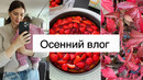 VLOG МОЯ РЕАЛЬНАЯ ЖИЗНЬ ЧИЗКЕЙК ВОССТАНОВЛЕНИЕ