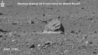 Очередные свидетельства жизни на Марсе