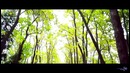 Свадебный день. Владислав и Юлия. (прогулка)