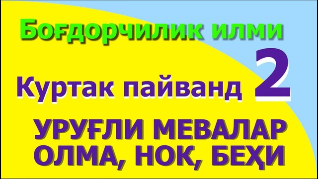 НОК