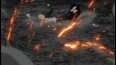 Блич / Bleach – Фильм четвертый (2 из 2)