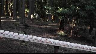 Touch Wood: Forest Xylophone