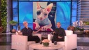 Hannah Hart Thanks Ellen for Being Her Inspiration
