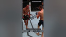 Max Holloway UFC Boxing Highlights!! #shorts