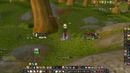 Mists of Pandaria PVP footage
