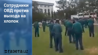 МВД расследует «протест» сотрудников против отправки на хлопок
