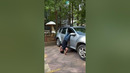 Man Enters Car While Doing Handstand