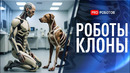 Роботы клоны людей и животных | Новости технологий