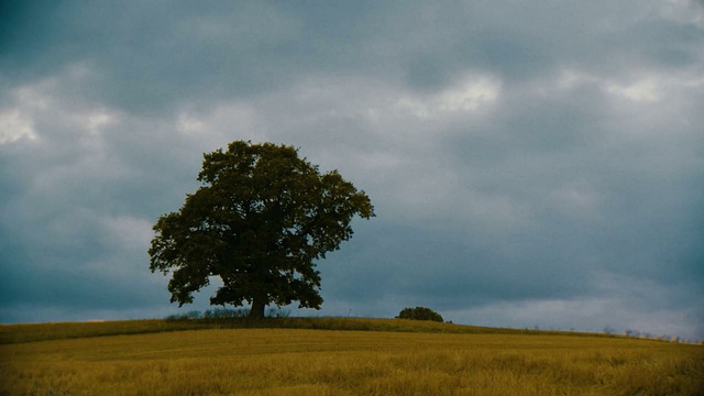 AsleepHeart – One Wing. (Official Music Video 2026)