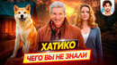 Хатико: Самый верный друг – Самые интересные факты – ЧЕГО ВЫ НЕ ЗНАЛИ о фильме // ДКино