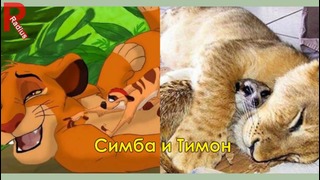 Персонажи мультфильма Король Лев в РЕАЛЬНОЙ ЖИЗНИ